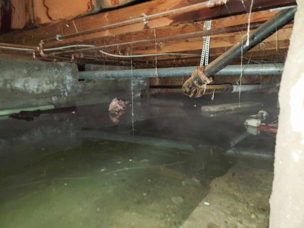 Best Water damage restoration near me  in Fairplains, NC