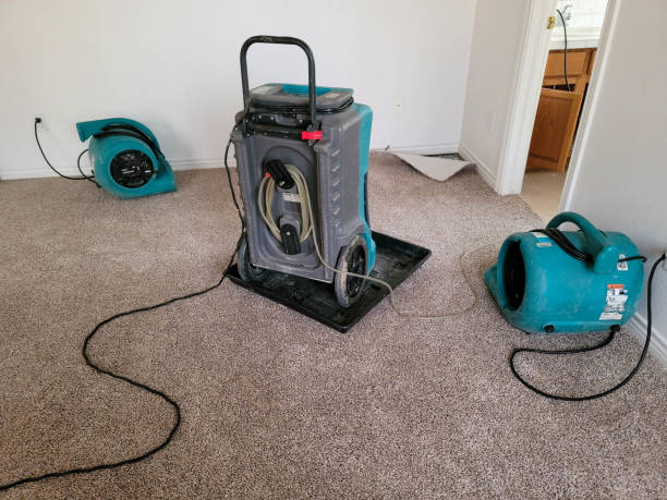 Best Flood restoration services  in Fairplains, NC