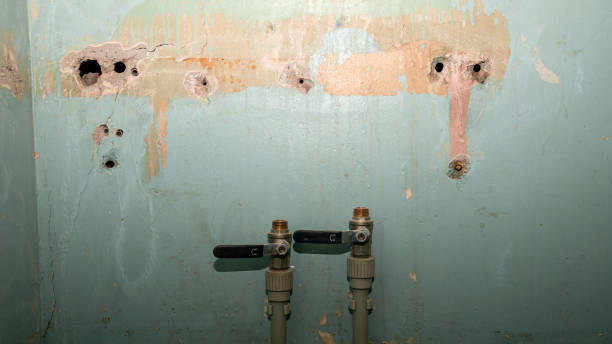 Best Water damage contractors near me  in Fairplains, NC