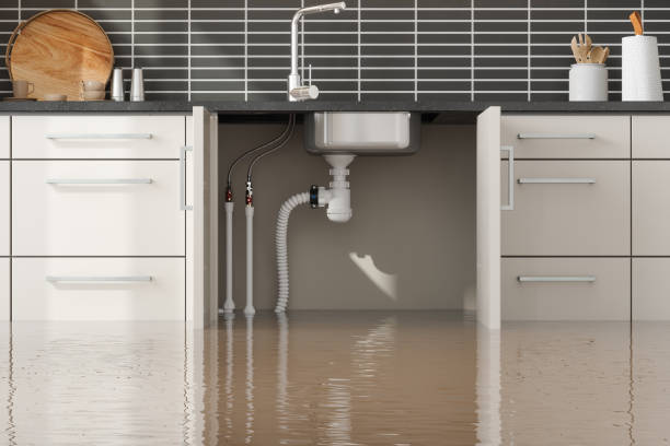 Best Water damage cleanup near me  in Fairplains, NC