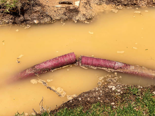 Best Residential water damage restoration  in Fairplains, NC