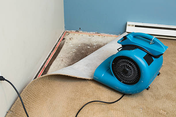 Best Professional water damage repair  in Fairplains, NC